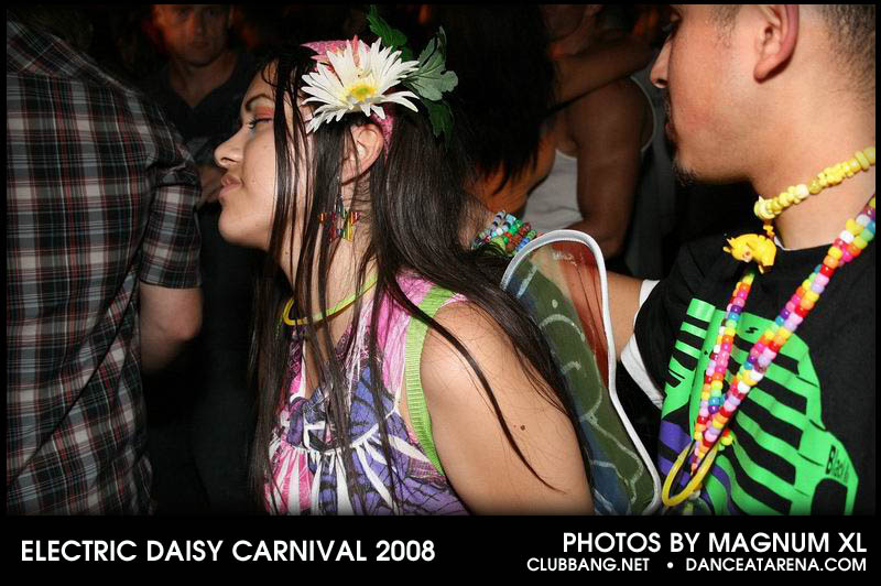 electricdaisy-0971